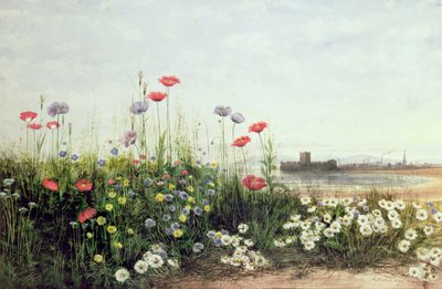 Der Fluss Tallock in der Nähe von Loch Lomond von John Berney Ladbrooke